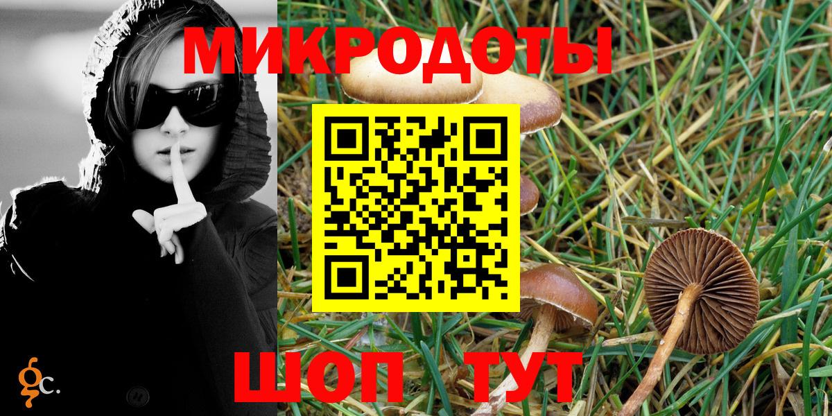 Галлюциногенные грибы Magic Shrooms  Псилоцибиновые грибы прущие грибы  Грозный  Вход с VPN 