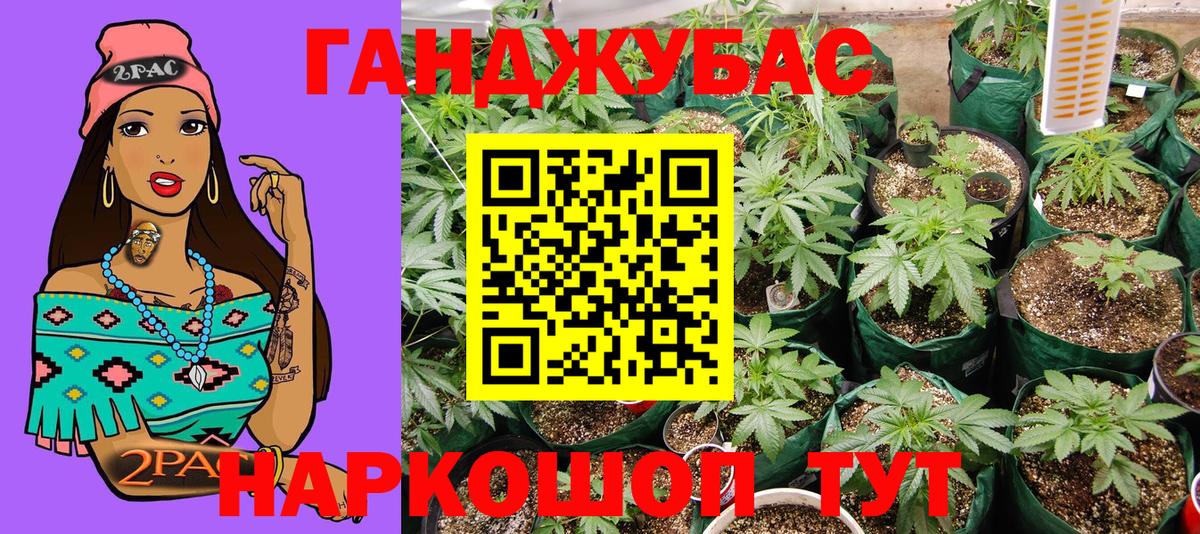 МАРИХУАНА планчик  Вход с VPN  МАРИХУАНА семена  Шишки марихуана White Widow  Грозный 